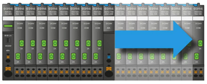 REX12D Standard