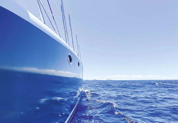 Marine Pic